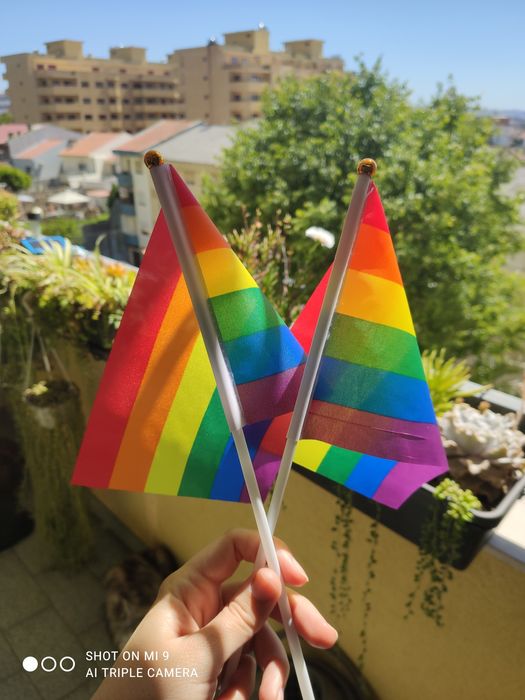 Bandeirinhas LGBT várias