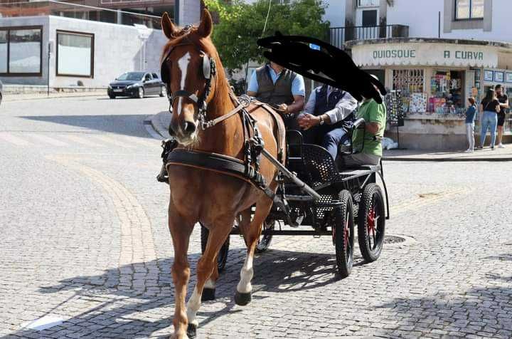 Passeio e batismo a cavalo