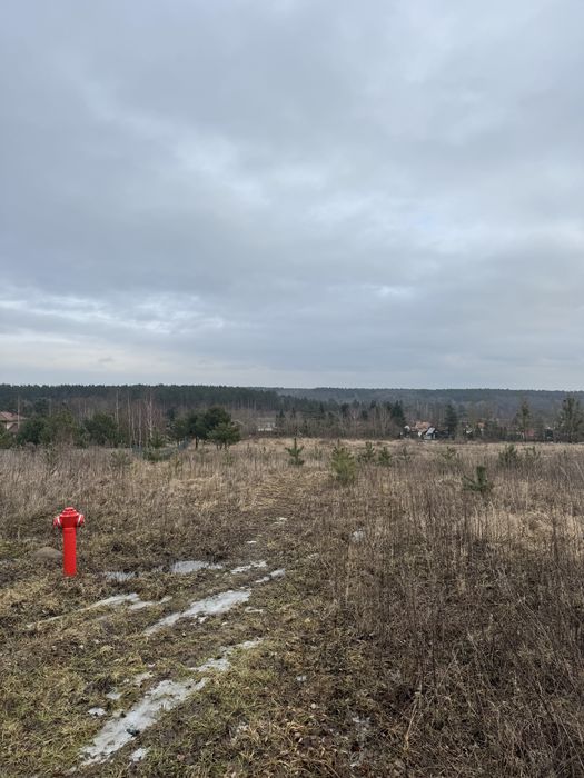Działka budowlana Tryszczyn - Widok 3