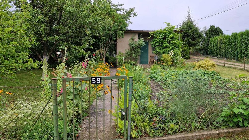 Urokliwa Działka ROD w Koronowie