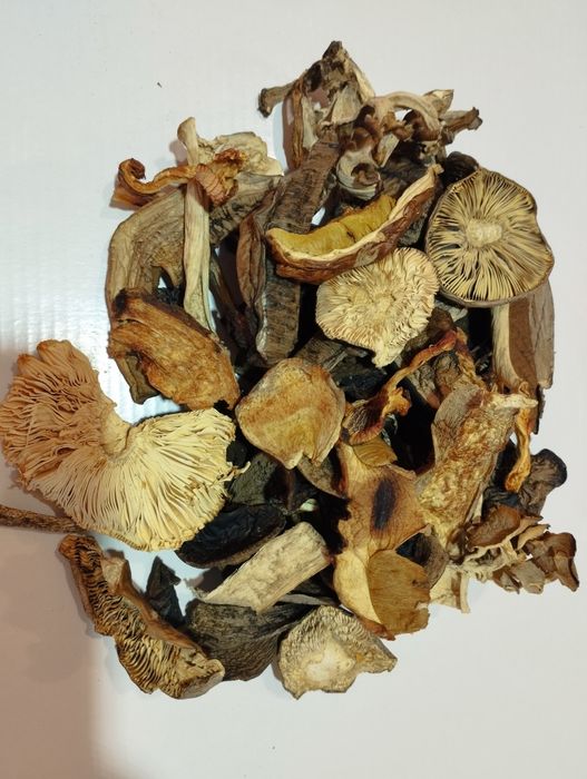 Гриби мікс лісовий ціна вказана за 1 кг.