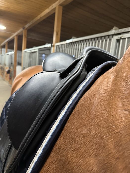 Siodlo ujezdzeniowe Erreplus Elena 17