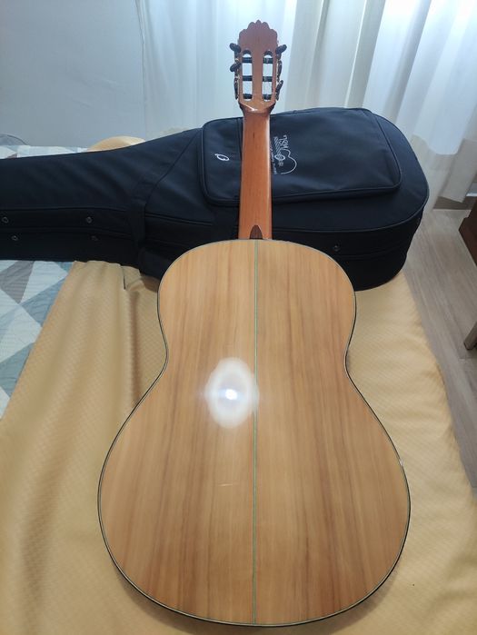 Flamenca solea cipreste natural