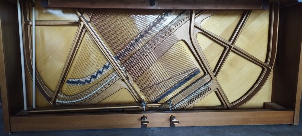 Piano Grotian-Steinweg Transporte e Afinação incluídos