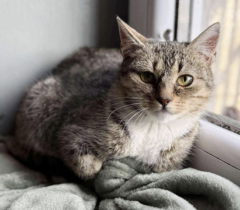 Kochana Lucy prosi o dom...