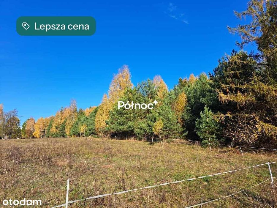Zdjęcie 3