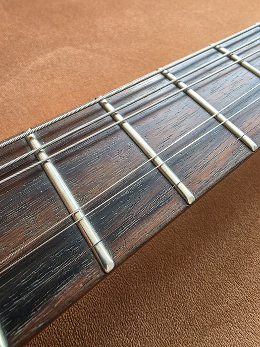 Epiphone 1958 Goth Explorer
