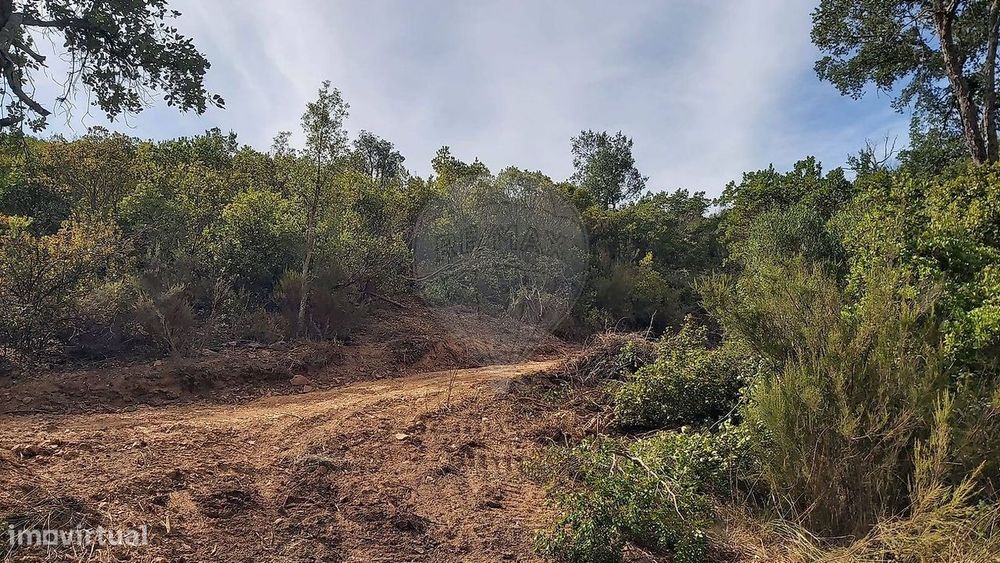 Terreno  para venda