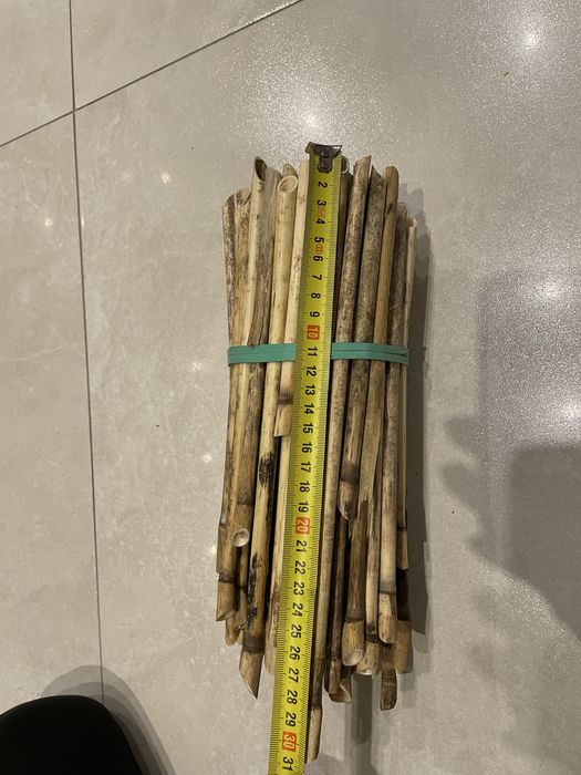 Trzcina dla murarki murarka ogrodowa 100 sztuk