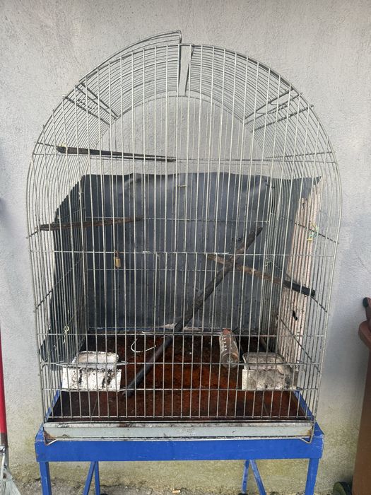 Gaiola ideal para passaro grande