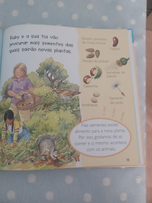 Ciência em primeira mão- Plantas e flores