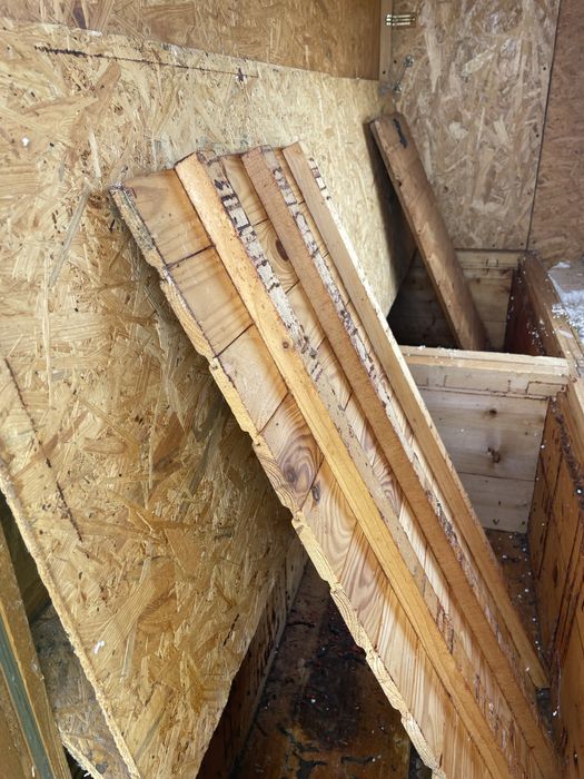 Апібудинок, Апидомик.