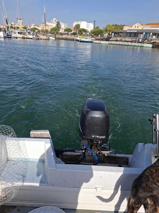 Vendo Barco de Recreio 6 pessoas Atlântico Baleote 510
