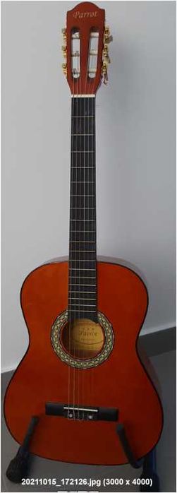 Guitarras clássicas folk e eletricas