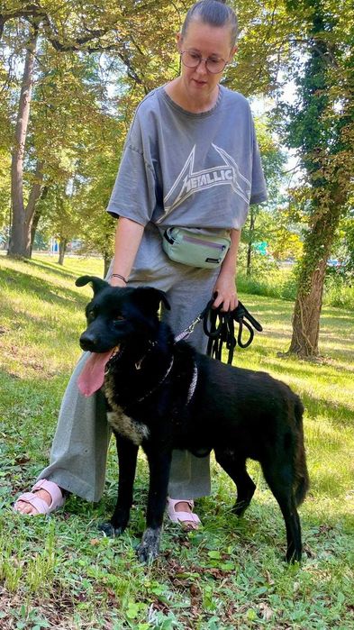 Bleki poleca się do adopcji.