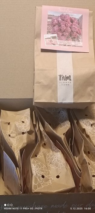 Cebulki tulipanów mix 80 sztuk