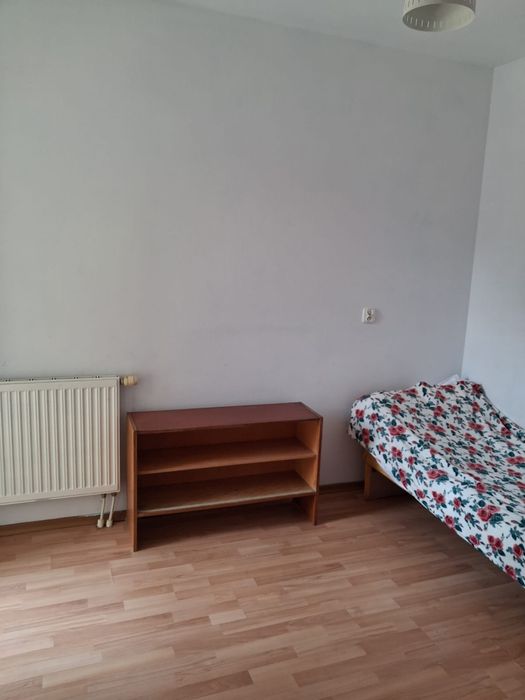 Zdjęcie 8