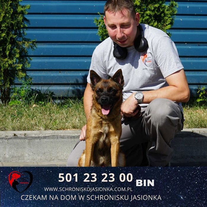 BIN do adopcji – Schronisko Jasionka