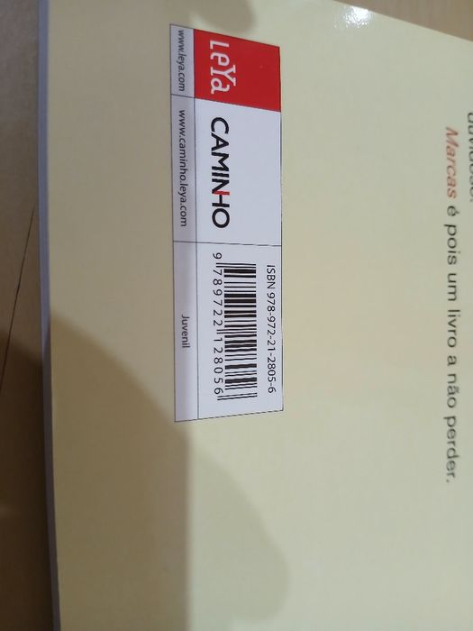 Livro Marcas Ana Saldanha
