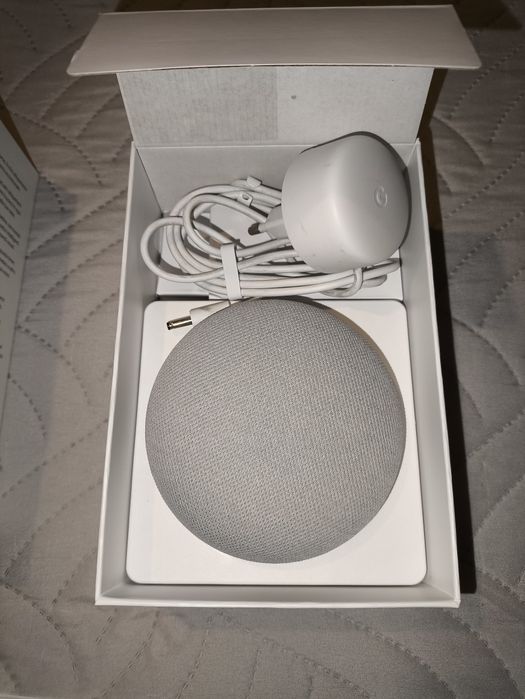 Google Nest Mini