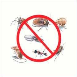 Deratyzacja Dezynsekcja Ozonowanie Odgrzybianie Fumigacja Gazowanie