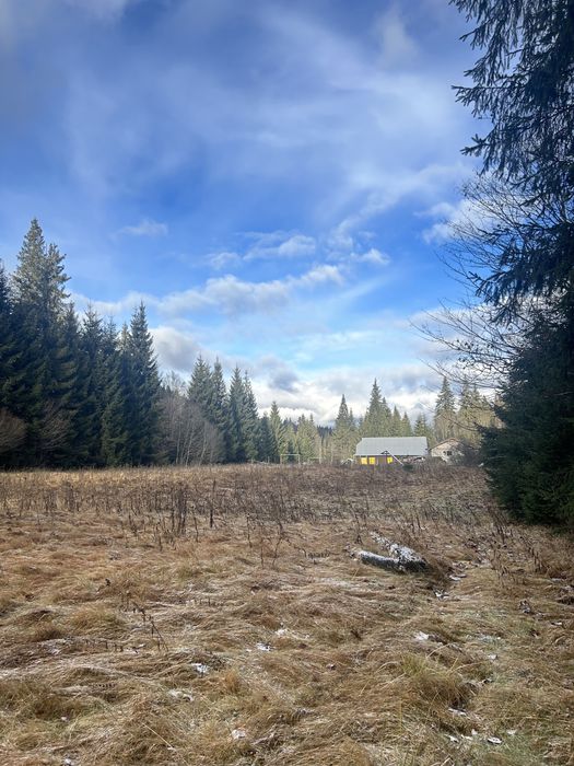 Остання ділянка біля Говерли | 10 соток