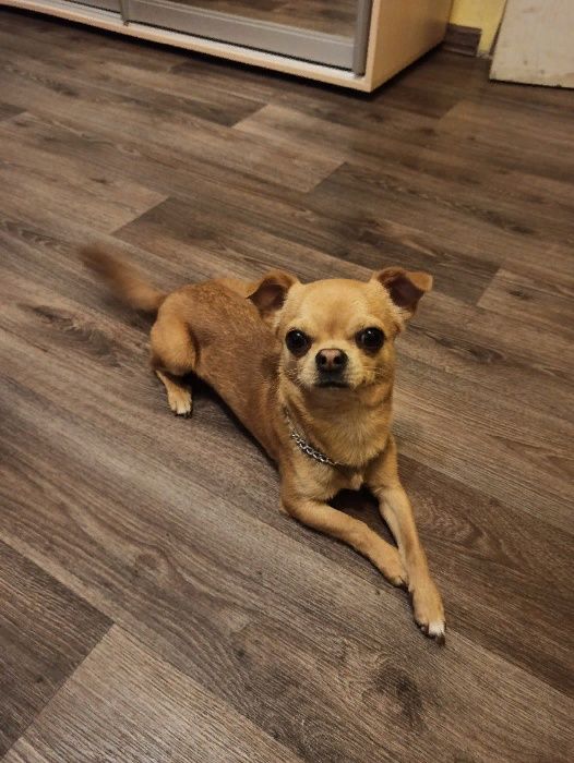 Кабель для вязки