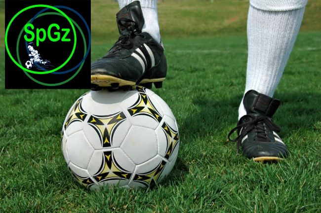 Спорт-10 Газон с живучестью 8-10лет жаростойкая низкая трава семена