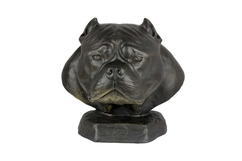 American Bully I urna z żywicy Art-Dog