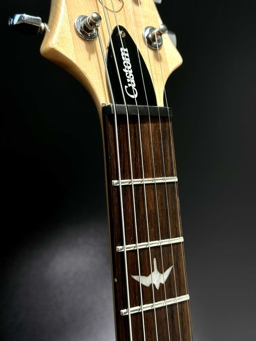 PRS SE Custom 24-08 | Eriza Verde, 8 brzmień, coil-split