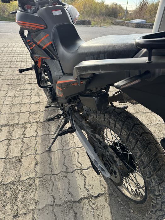 Musstang Challenge GT 250 (2024)