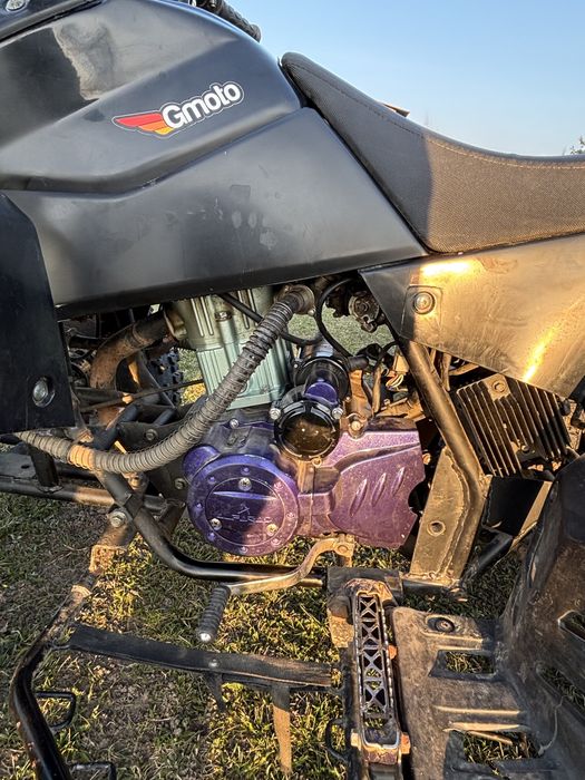 Cobra alfarad 250 (bashan)