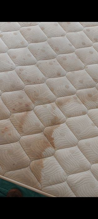 Limpeza Tapetes, Alcatifas, Sofás, Colchões  e Estofos Auto