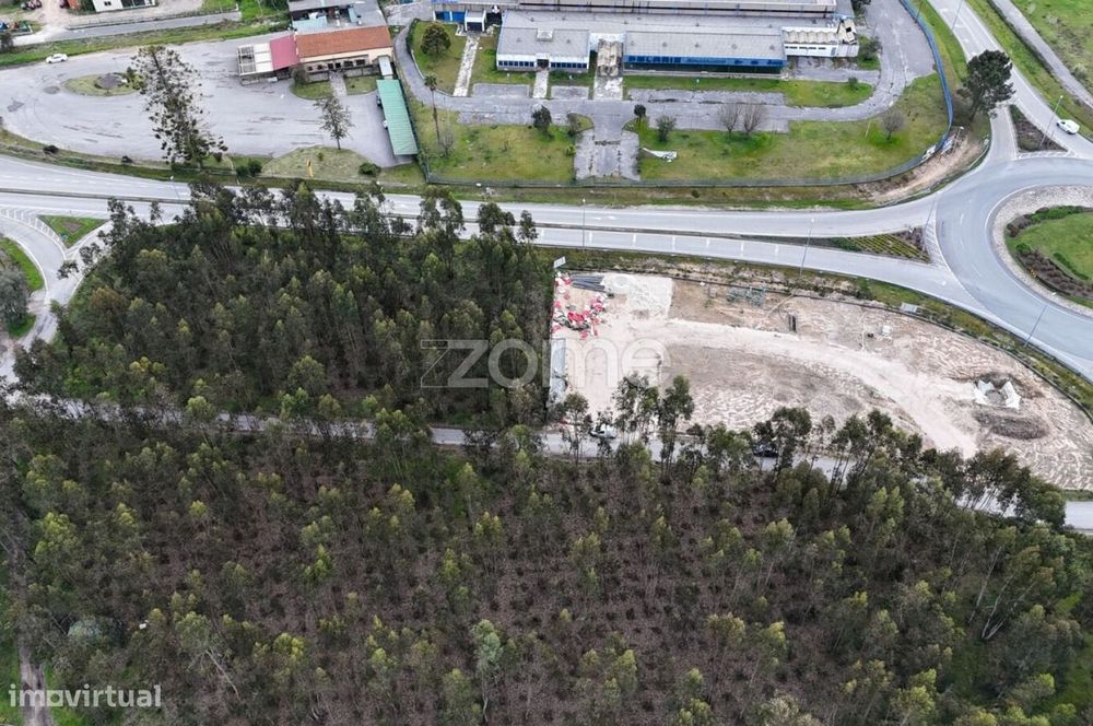 Oportunidade em Cantanhede: 3 Hectares de Potencial Ilimitado!