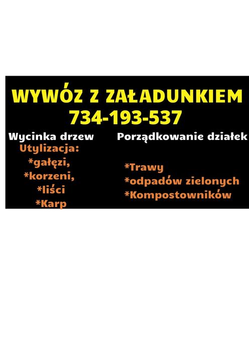 Wycinka Drzew Karczowanie Czyszczenie Działek Utylizacja Gałęzi Wywóz