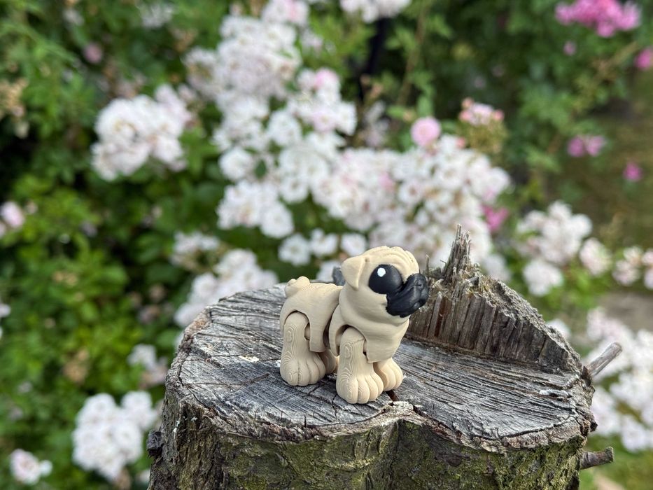 Mini Mops 3D – ruchoma, przegubowa mini figurka psa, Minimals, zabawka, pies