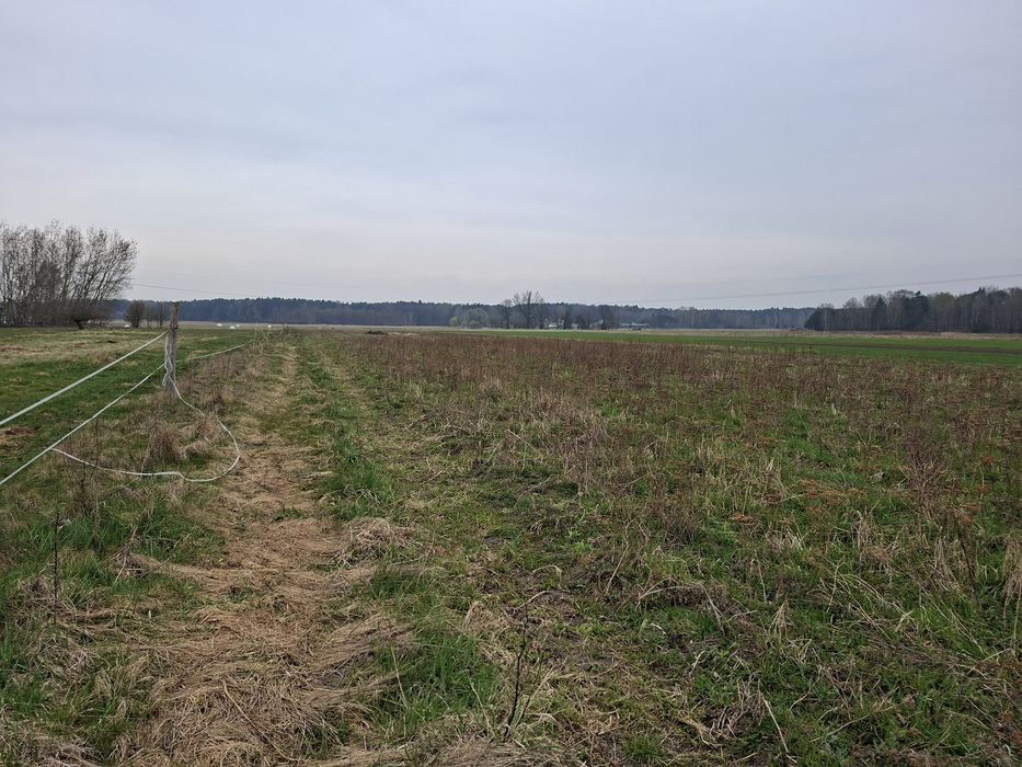 Działki budowlane