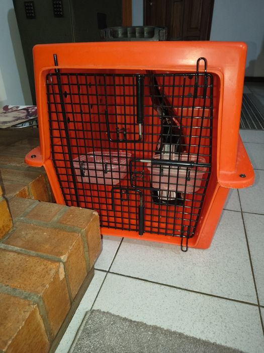 Caixa de transporte para cão