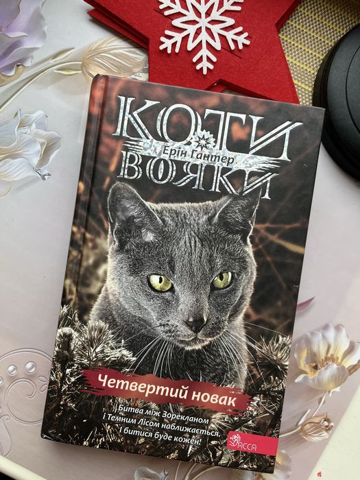 Четвертий новак коти вояки