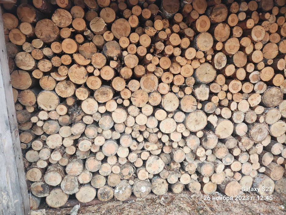 Продам дрова різного виду