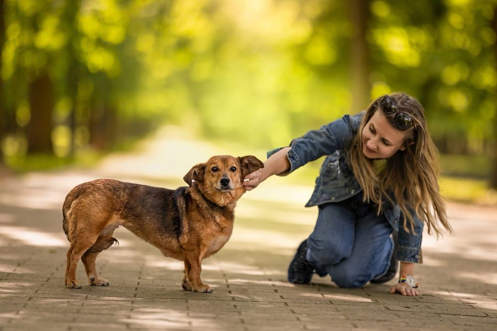 Spokojna kochana zrównoważona Adelajda do adopcji