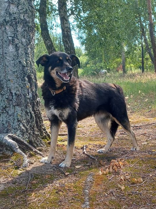 Wrażliwa Dora szuka spokojnego opiekuna