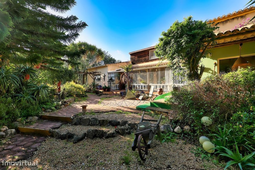 Uma Joia Escondida no Coração Verde de Silves