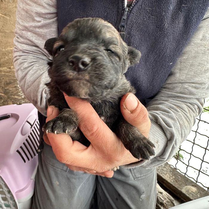 Малюк шукає сімʼю