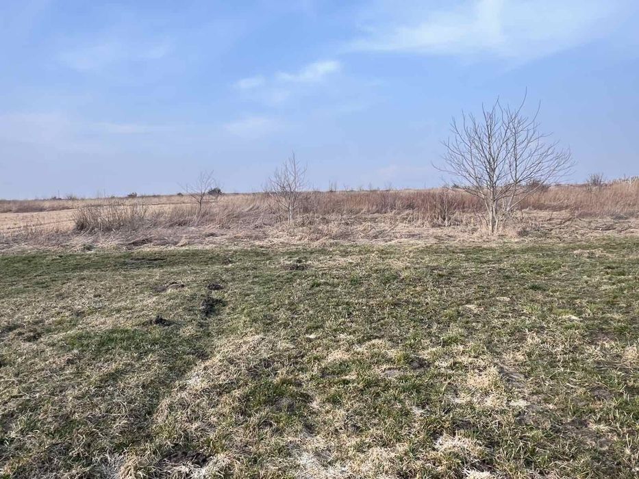 Продаж земельної ділянки пл.12 сотих під забудову в с.Пікуловичі