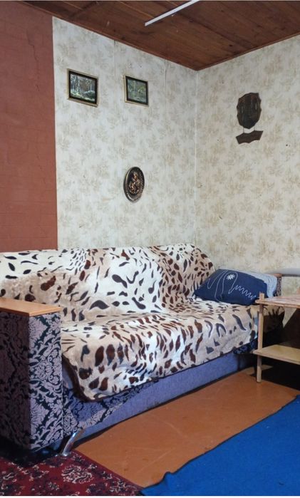 Дача поруч з лісом, міська межа !
