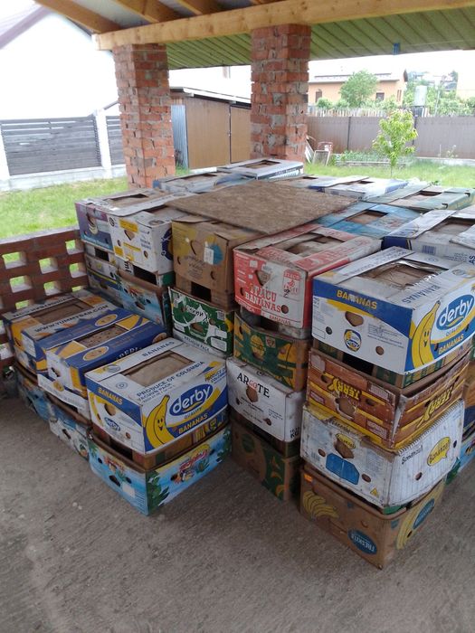 Бананові ящики 300 штук