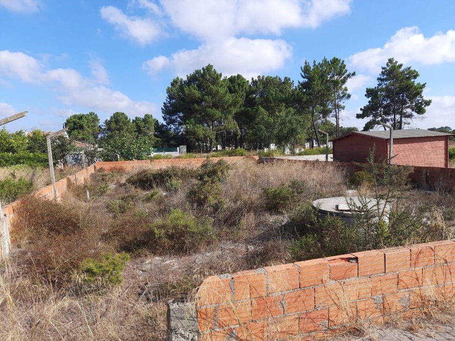 Limpeza de terrenos, Poda/Abate de Arvores  Preços Baixos