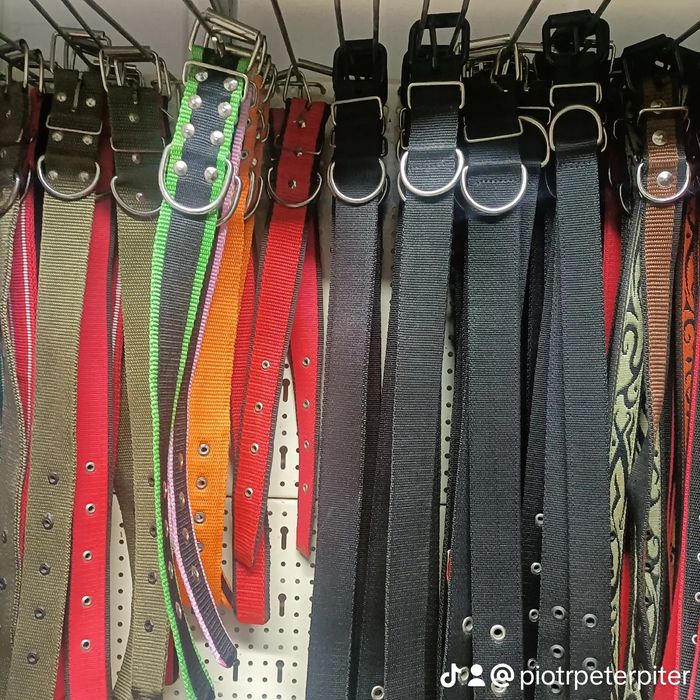 Obroża dla dużego psa 50mm/85 ck