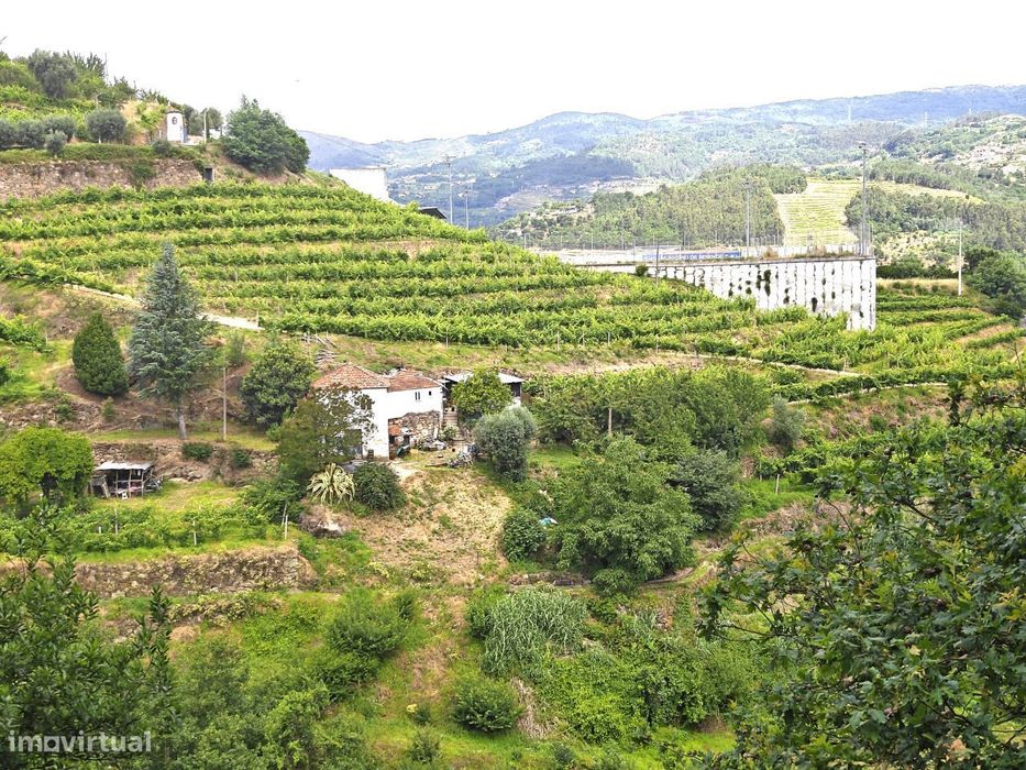 Quinta à venda em Resende, Viseu